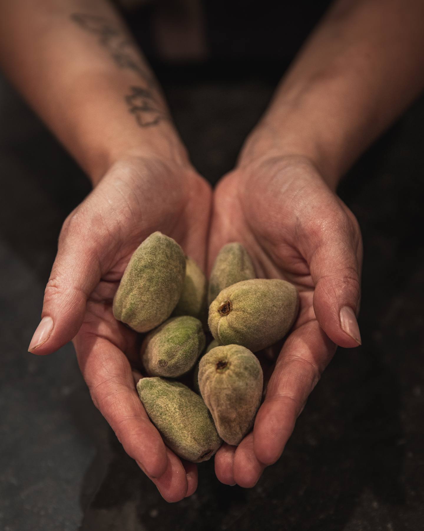 Amandes fraîches