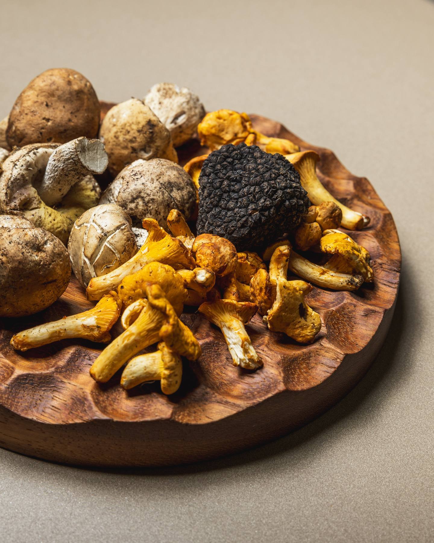 Champignons & truffe