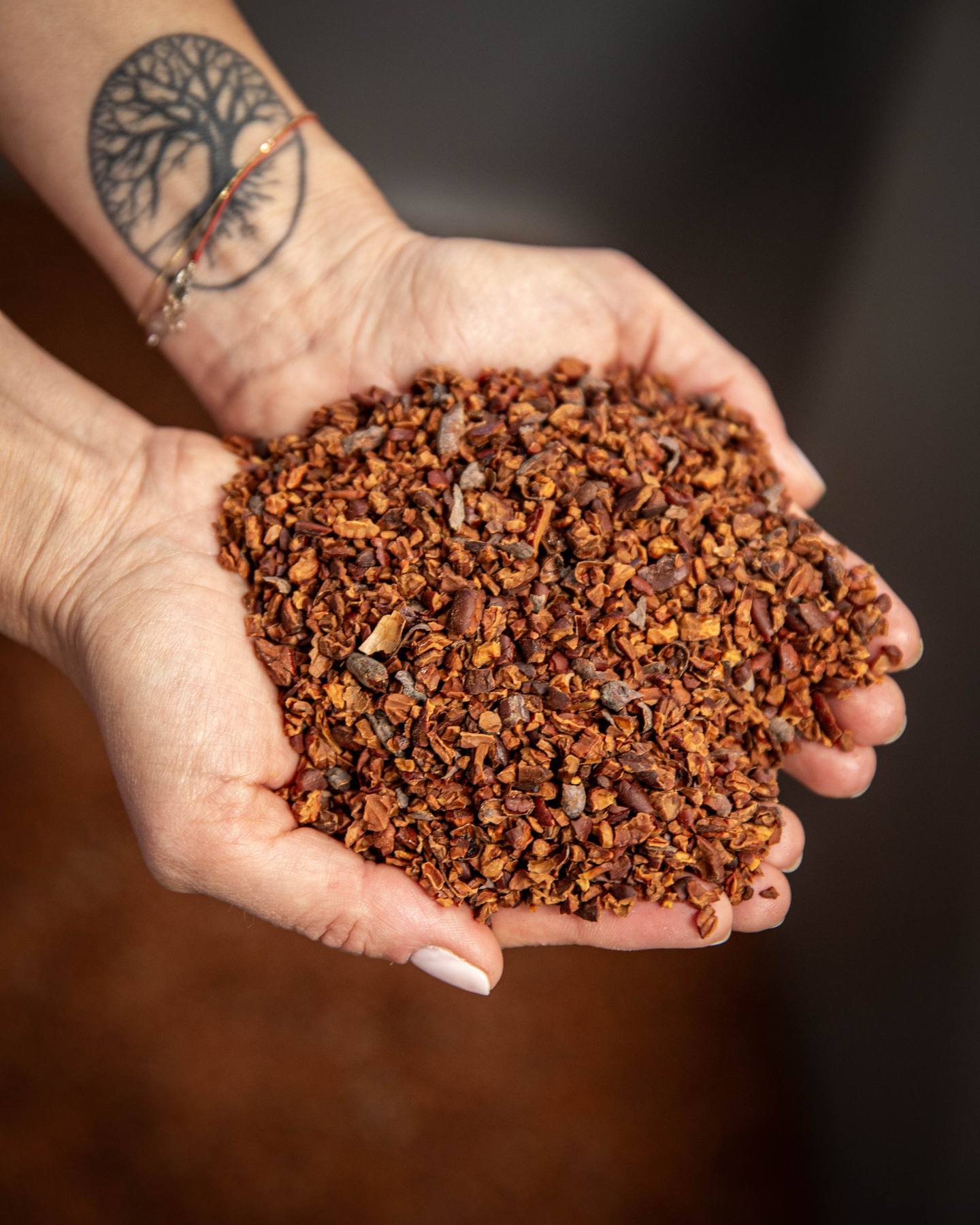Fèves de cacao concassées